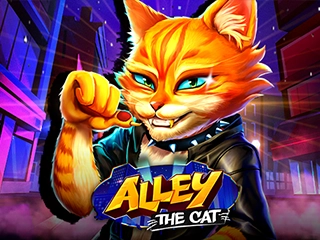 Alley The Cat