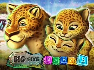 Big 5 Baby 5