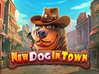 New Dog In Town